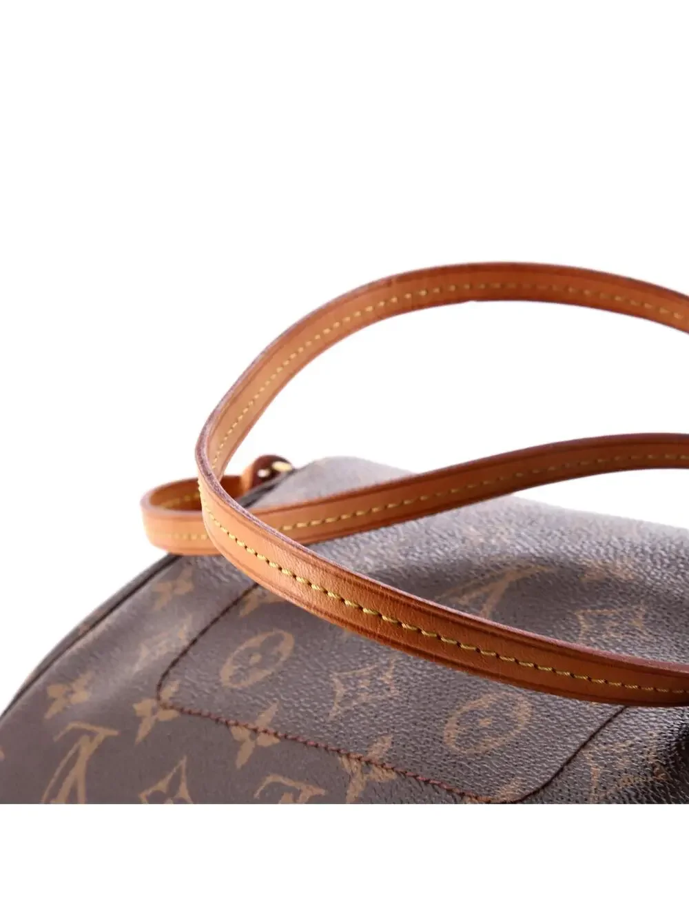 Louis Vuitton Favorite Handbag Canvas #340380L14B
